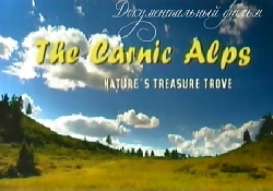   / The Carnic Alps VO