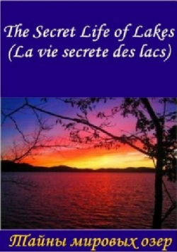    (1 : 1-5   5) / The Secret Life of Lakes DUB