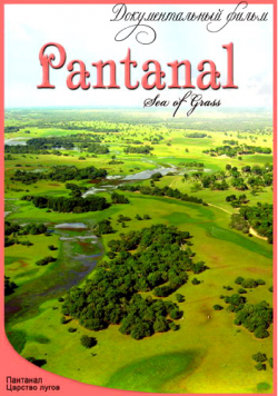  -   / Pantanal Sea of Grass VO