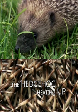        / Climate Change: A Talk with the Animals, The Hedgehog DVO