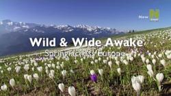    -   (1-2   2) / Wild Wide Awake - Spring Across Europe DUB