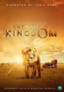   / Enchanted Kingdom VO