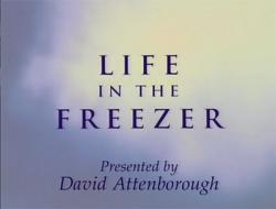    (1-6   6) / BBC. Life in the Freezer VO