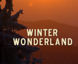    / NAT GEO WILD. Winter Wonderland DUB
