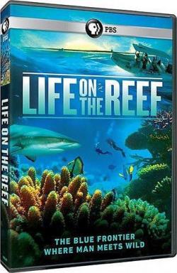      (1-3   3) / NAT GEO WILD. Life on the Barrier Reef DUB