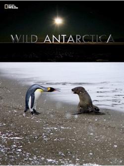   / NAT GEO WILD. Wild Antarctica DUB