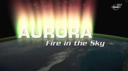   -   / Aurora - Fackeln am Firmament VO