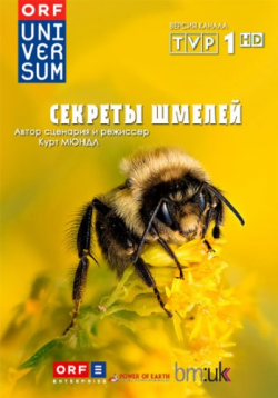   / Hummeln - Bienen im Pelz / Secrets of Bumblebees DUB