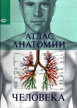 Атлас анатомии человека )