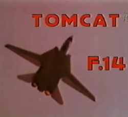 F-14.  .   / F-14 Tomcat