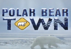    (1-12   12) / Polar Bear Town VO