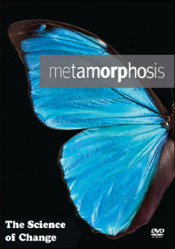   -  / Metamorphosis. The Science of Change VO