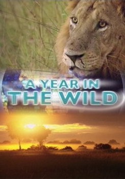      / A Year in the Wild