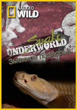   / Snake Underworld VO
