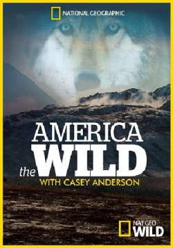   c   (2 : 1-6   6) / America The Wild DUB