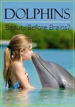 :    / Dolphins: Beauty Before Brains? DUB