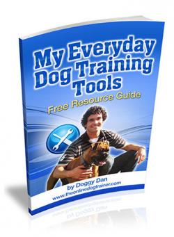 Moи Инструменты Для Повседневной Дрессировки Собак / My Everyday Dog Training Tools