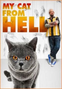   (7 : 2-10 ) / Animal Planet: My Cat From Hell DVO