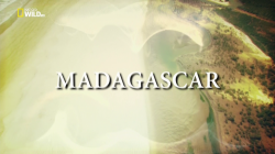  -    / NAT GEO WILD. Madagascar VO