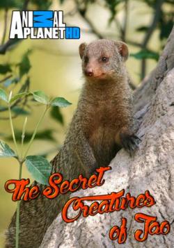     (1-7   7) / Animal Planet. The Secret Creatures of Jao VO