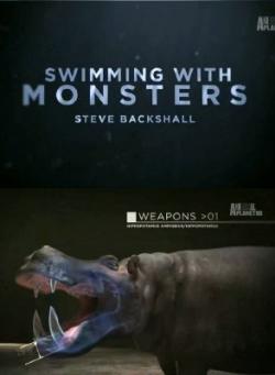      (1 : 1-4   4) / Animal Planet. Wimming with Monsters Steve Backshall DVO