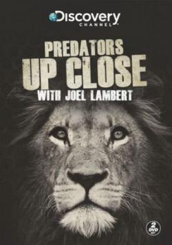       (1-5   5) / Discovery. Predators Up Close with Joel Lambert VO