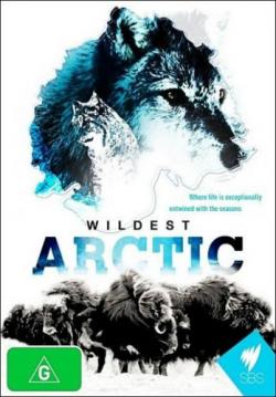   (1-4   4) / Wildest Arctic DUB
