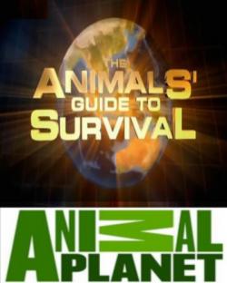    (1-7   7) / Animal Planet. The Animals' guide to Survival VO