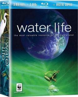   (1-26   26) / Water Life AVO