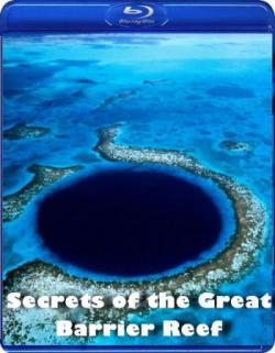     / Secrets of the Great Barrier Reef VO