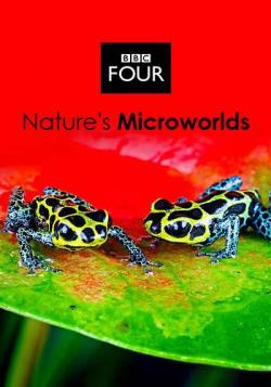     (1,2,3 : 3-16   16) / BBC. Nature's Microworlds VO