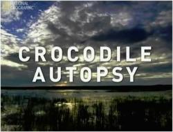   / National Geographic. Crocodile autopsy VO