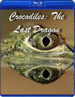 :   / Crocodiles: The Last Dragon VO