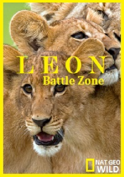 Война львов / NAT GEO WILD. Lion Battle Zone VO