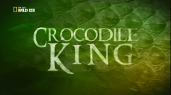   / NAT GEO WILD. Crocodile King VO