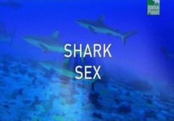    / Shark Sex VO