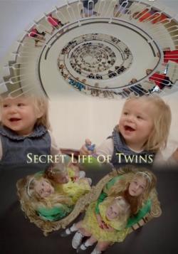   / The Secret Life of Twins DVO