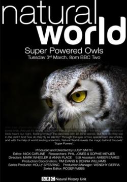  : .     / The Natural World: Super Powered Owls MVO