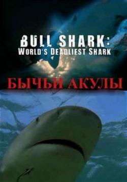  :      / Bull Shark: World's Deadliest Shark VO