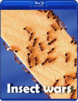   / National Geographic. Insect wars VO