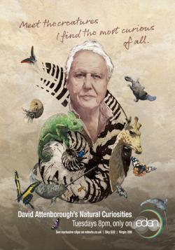      (5   5) / Attenborough's Natural Curiosities VO