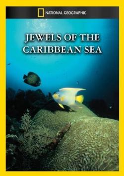    / National Geographic. Jewels of the Caribbean Sea AVO