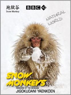 .    / BBC. Natural World. Snow Monkeys of Japan DUB