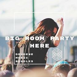 VA - Big Room Party Here