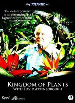      (1-3   3) / BBC. Kingdom of Plants VO