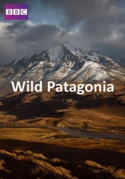   (1-3   3) / Wild Patagonia VO
