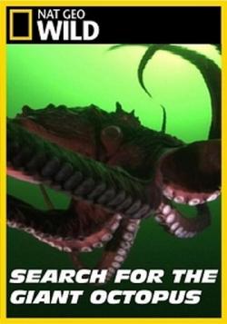     / Search for the Giant Octopus VO