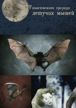     / Bats DUB