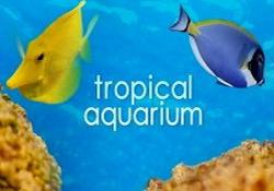   2 / Tropical Aquarium