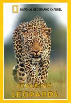   / NAT GEO WILD. Leopard Queen DUB